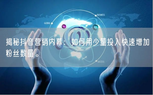揭秘抖音营销内幕：如何用少量投入快速增加粉丝数量。