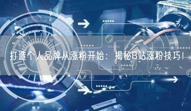 打造个人品牌从涨粉开始：揭秘B站涨粉技巧！
