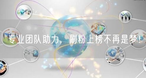 专业团队助力，刷粉上榜不再是梦！