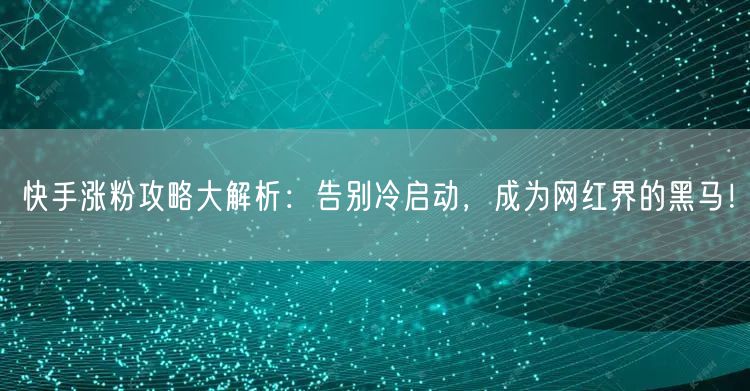 快手涨粉攻略大解析：告别冷启动，成为网红界的黑马！