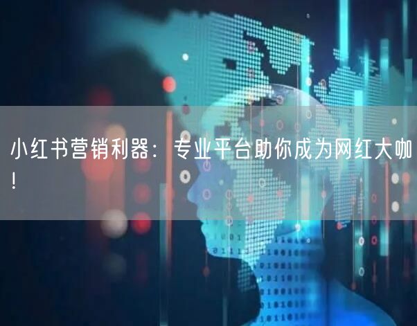 小红书营销利器：专业平台助你成为网红大咖！