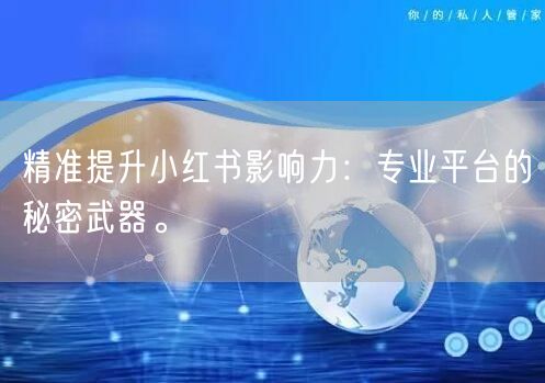 精准提升小红书影响力：专业平台的秘密武器。