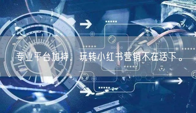 专业平台加持，玩转小红书营销不在话下。