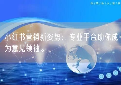 小红书营销新姿势：专业平台助你成为意见领袖。