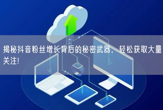 揭秘抖音粉丝增长背后的秘密武器，轻松获取大量关注!