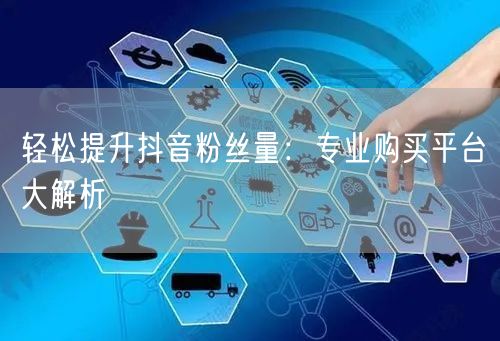 轻松提升抖音粉丝量：专业购买平台大解析
