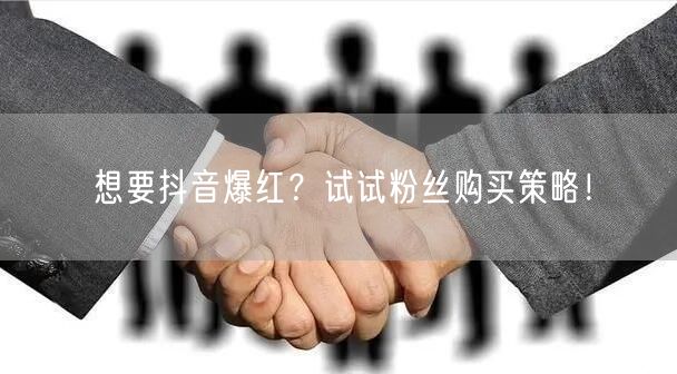 想要抖音爆红？试试粉丝购买策略！
