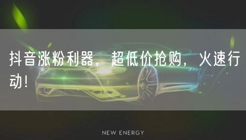 抖音涨粉利器，超低价抢购，火速行动！