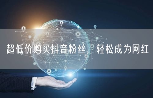超低价购买抖音粉丝，轻松成为网红