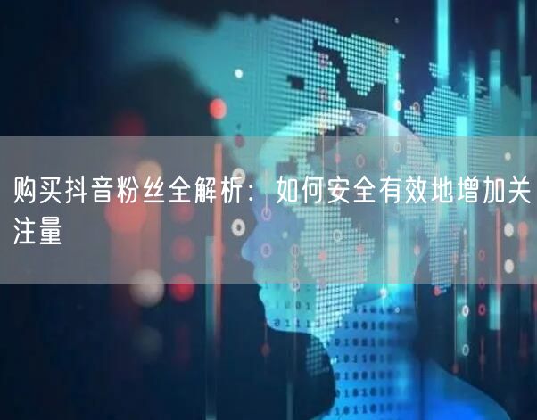 购买抖音粉丝全解析：如何安全有效地增加关注量