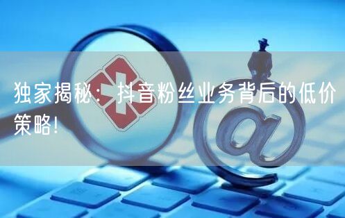 独家揭秘：抖音粉丝业务背后的低价策略!