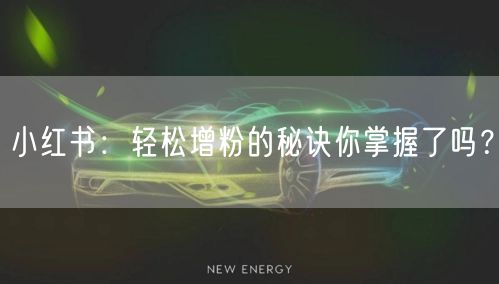 小红书：轻松增粉的秘诀你掌握了吗？