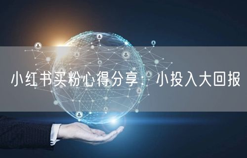 小红书买粉心得分享：小投入大回报
