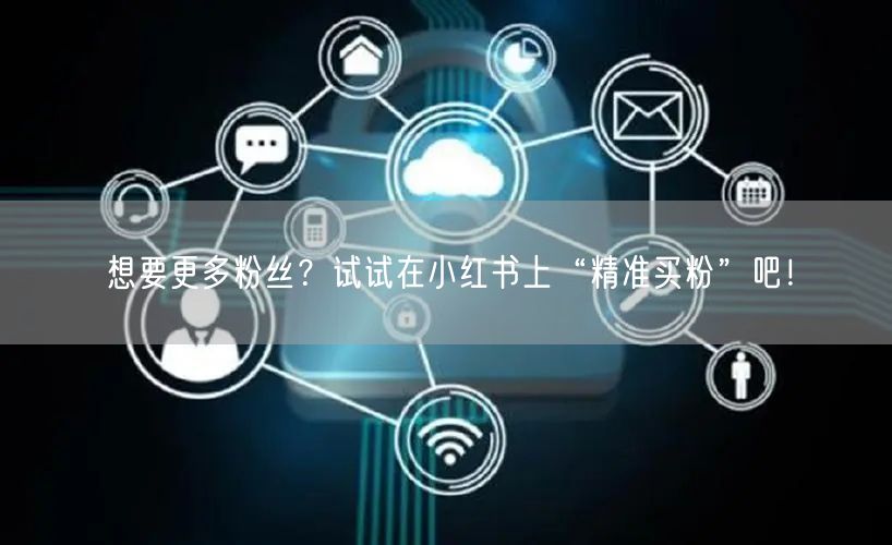想要更多粉丝？试试在小红书上“精准买粉”吧！