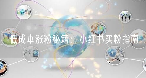 低成本涨粉秘籍：小红书买粉指南