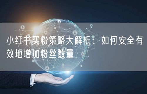 小红书买粉策略大解析：如何安全有效地增加粉丝数量