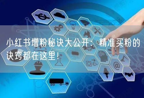 小红书增粉秘诀大公开：精准买粉的诀窍都在这里！