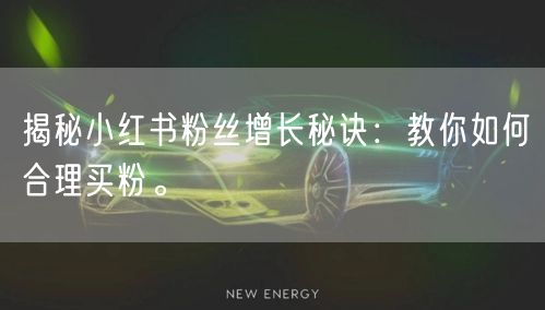揭秘小红书粉丝增长秘诀：教你如何合理买粉。